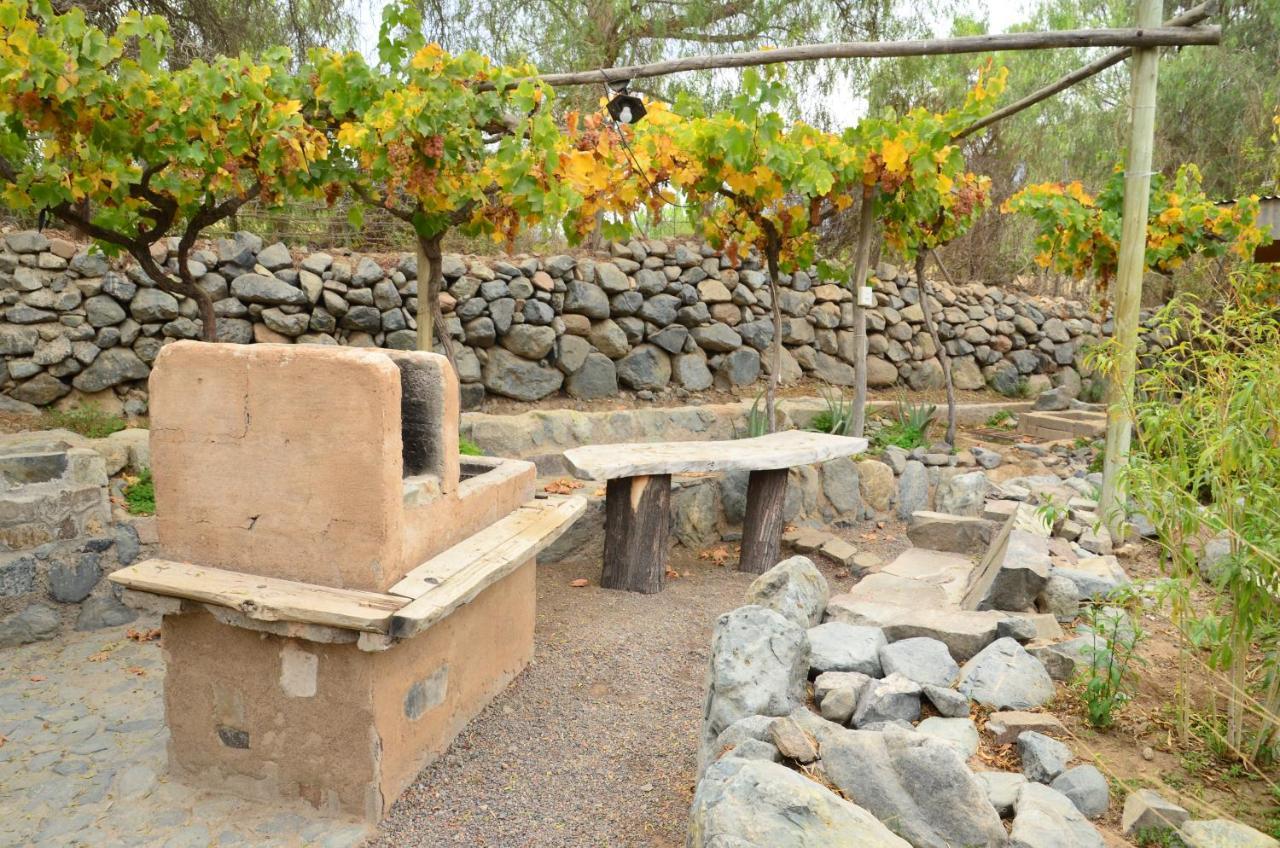 Cabanas Ahopiedra Vicuna Bagian luar foto